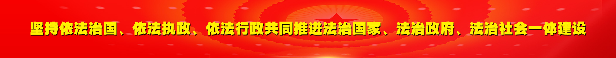 9.坚持依法治国、依法执政